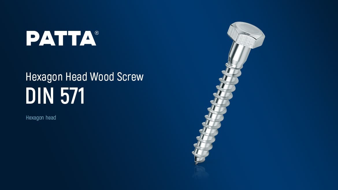 مسمار خشب برأس سداسي DIN 571